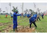Hà Nội phấn đấu trồng 100.000-120.000 cây xanh dịp Xuân Nhâm Dần